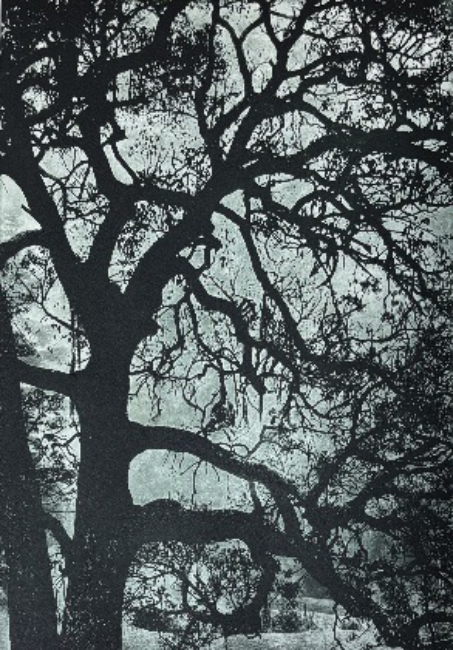 SPOOKY TREE SOLAR PLATE
