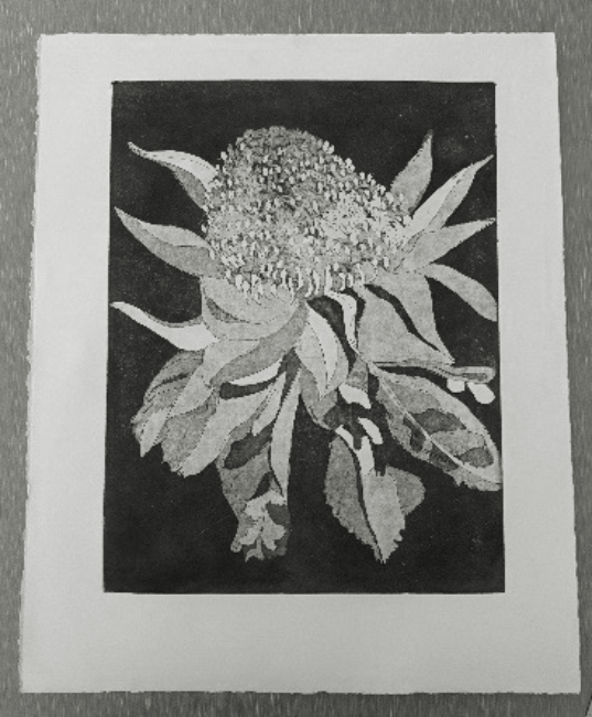 WARATAH